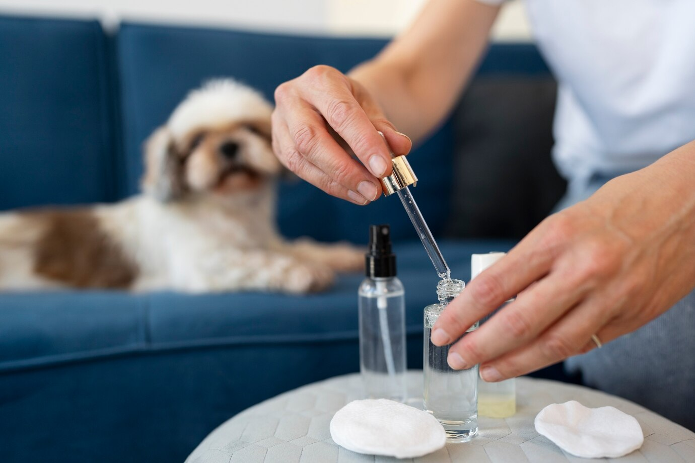 Guia Completo sobre Como Escolher o Antipulgas e Carrapatos Mais Adequado para Diferentes Raças e Tamanhos de Pets