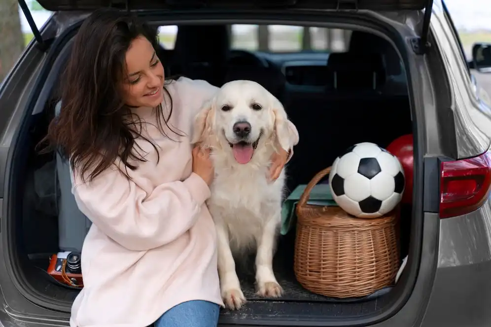 Cachorro viajando com sua dona.