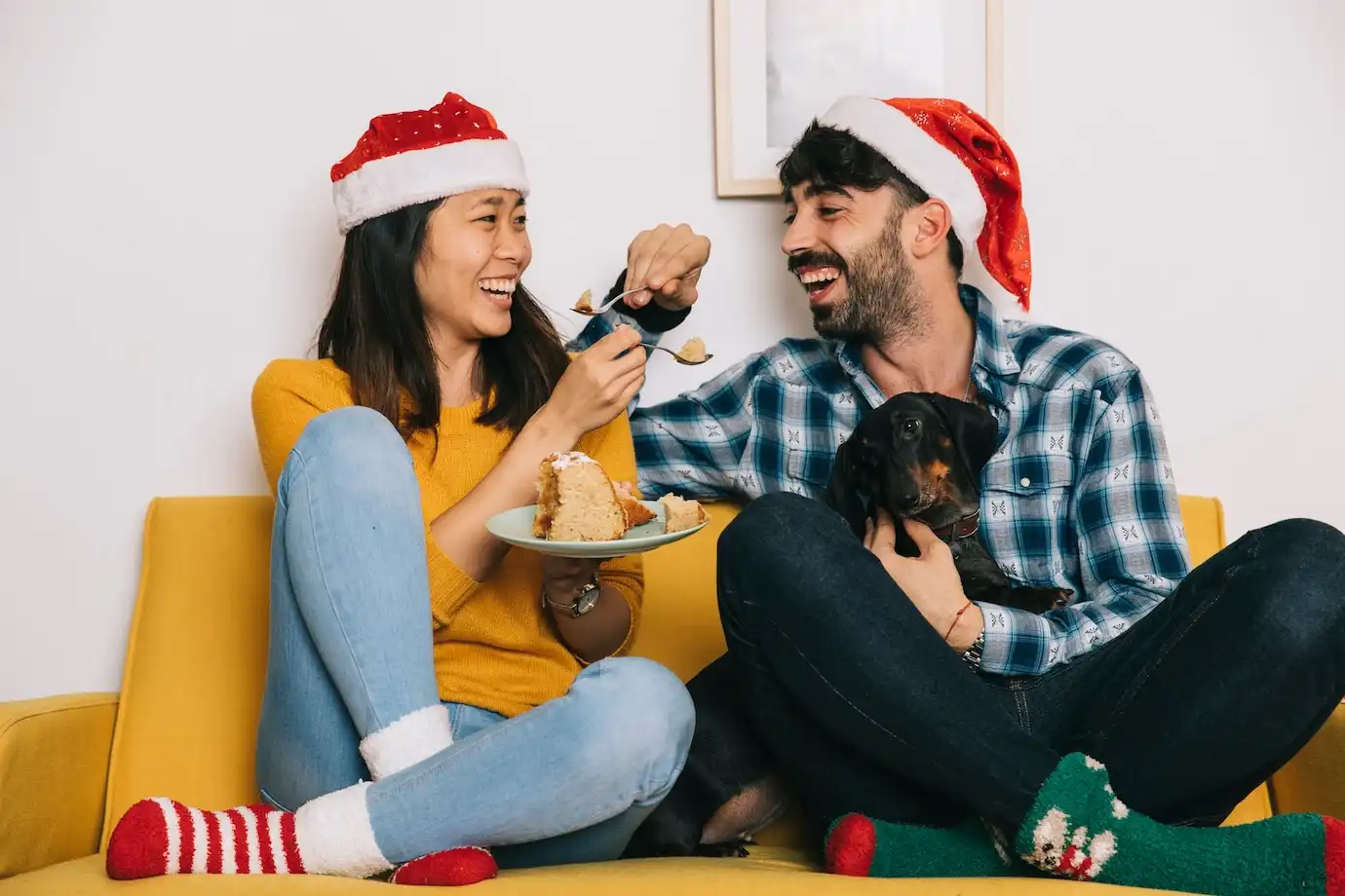 Alimentos Natalinos Proibidos para Cães e Gatos: Proteja seu Pet Neste Natal