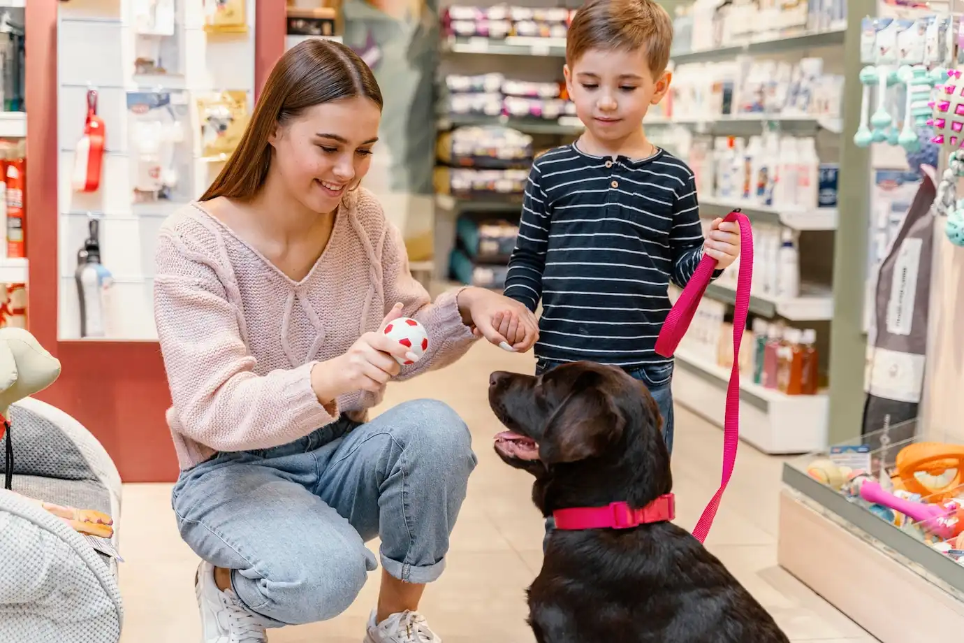 Dicas para Encontrar um Bom Fornecedor de Produtos Pet no Rio Grande do Sul